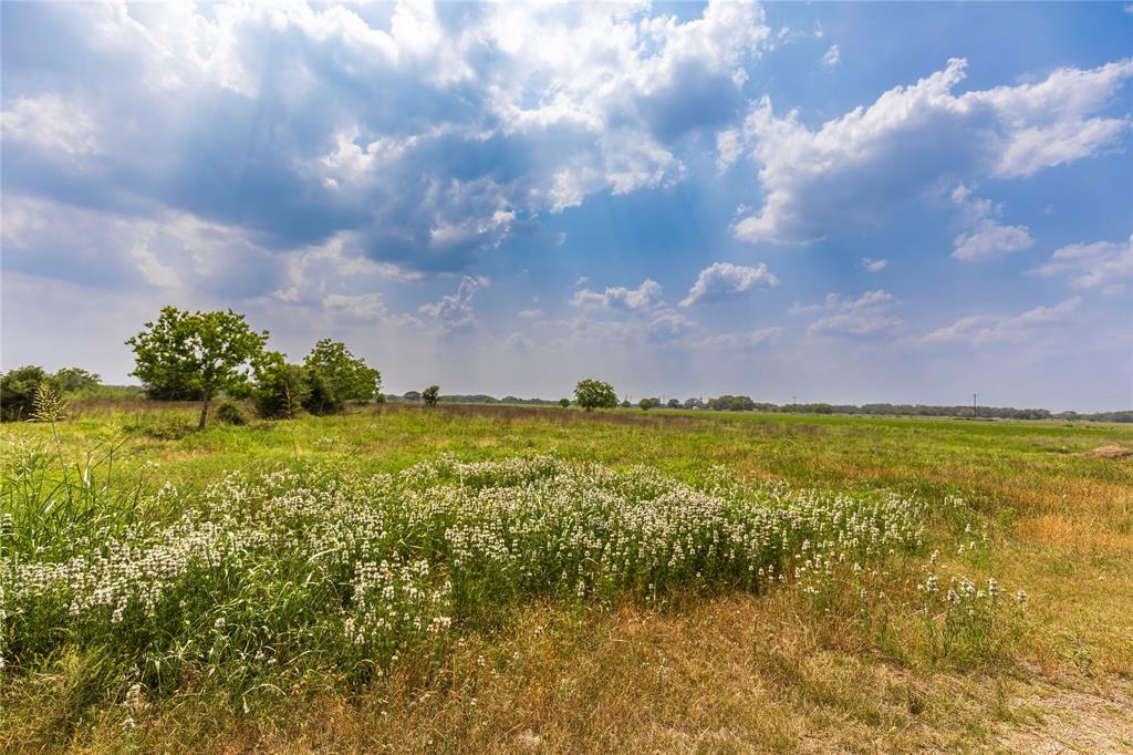 Tract 3 County Road 106, Columbus, Texas image 14