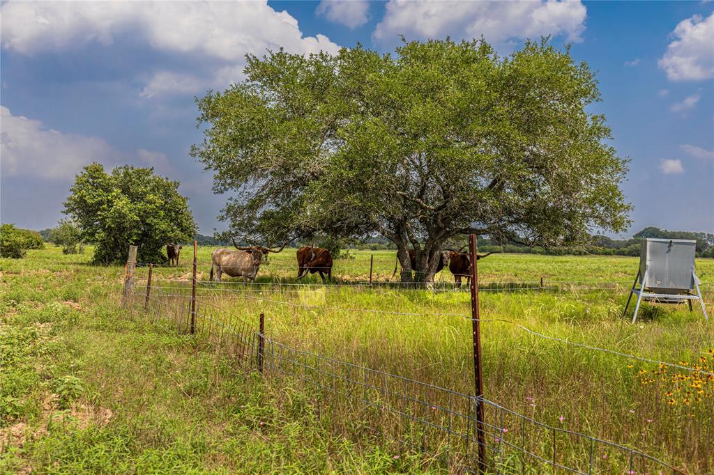 Tract 3 County Road 106, Columbus, Texas image 7
