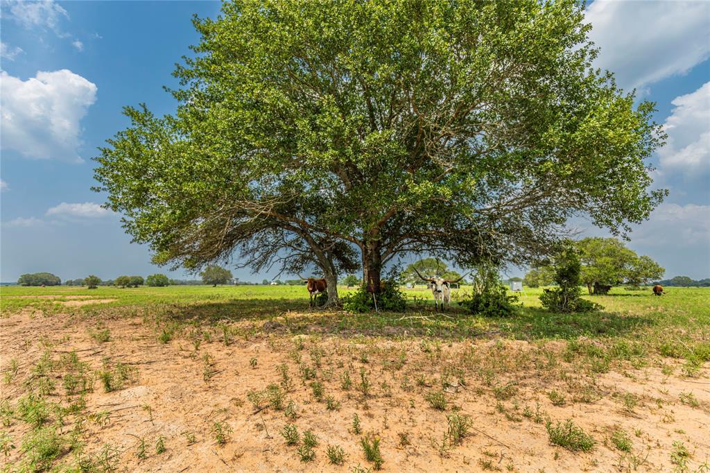 Tract 3 County Road 106, Columbus, Texas image 6