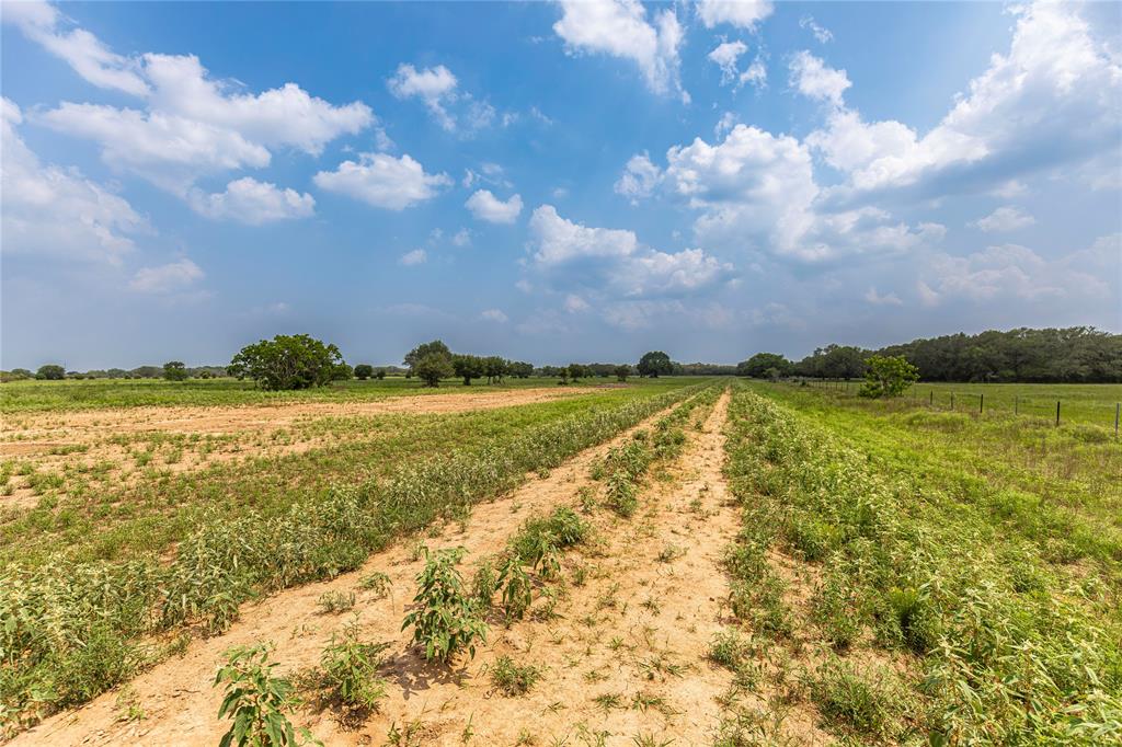 Tract 3 County Road 106, Columbus, Texas image 11