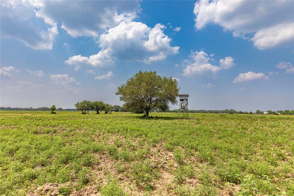 Tract 3 County Road 106, Columbus, Texas image 9