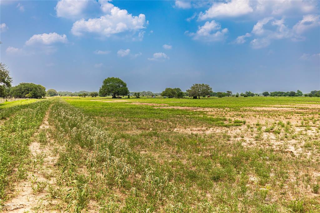Tract 3 County Road 106, Columbus, Texas image 5