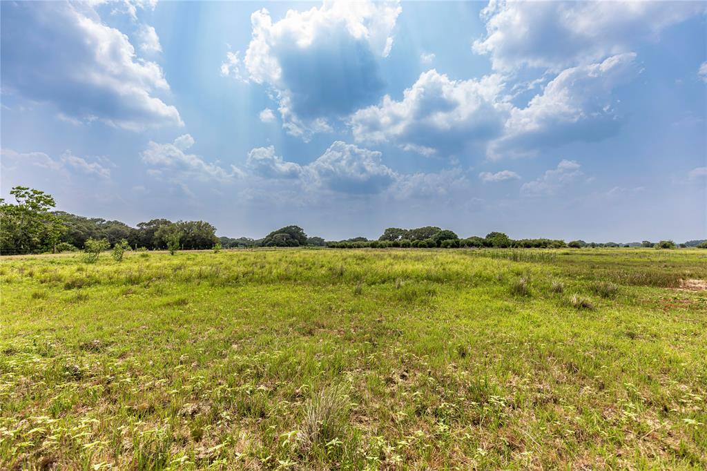 Tract 3 County Road 106, Columbus, Texas image 2