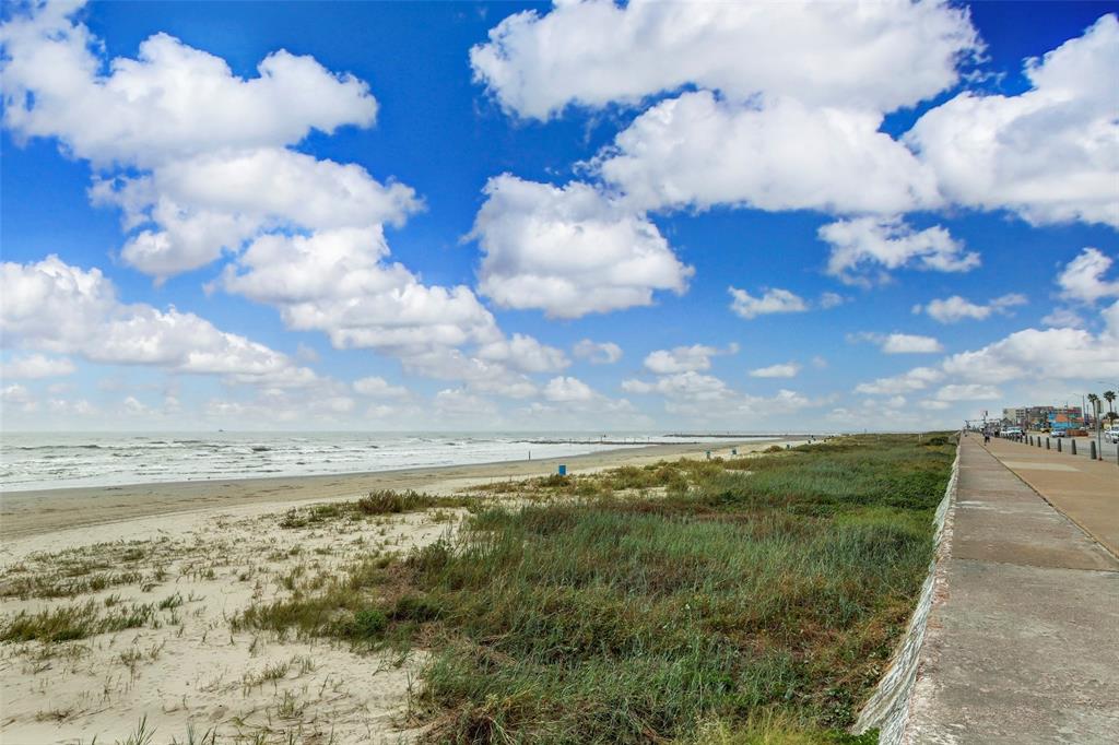 2918 Avenue L, Galveston, Texas image 3