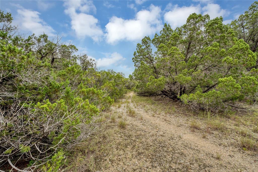 120 Patriotic Drive, Fischer, Texas image 19