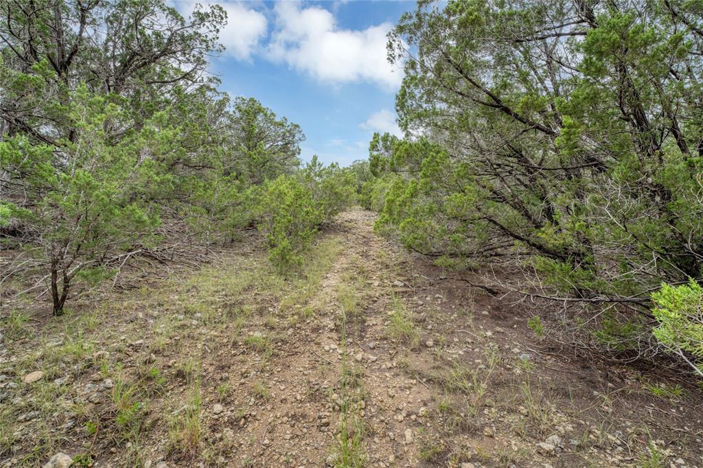 120 Patriotic Drive, Fischer, Texas image 18