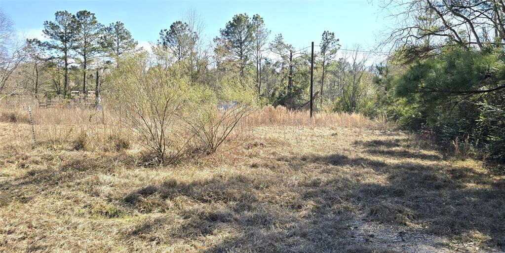2792 Fm 222 Loop, Coldspring, Texas image 12