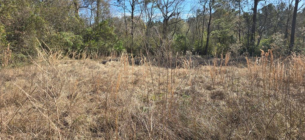 2792 Fm 222 Loop, Coldspring, Texas image 16