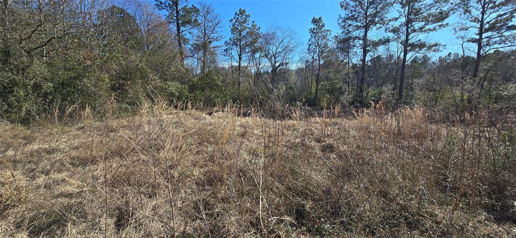 2792 Fm 222 Loop, Coldspring, Texas image 15
