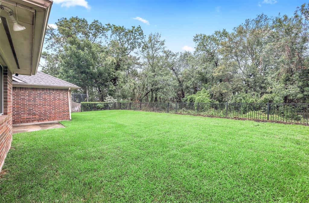 5819 Horseshoe Falls, Missouri City, Texas image 27
