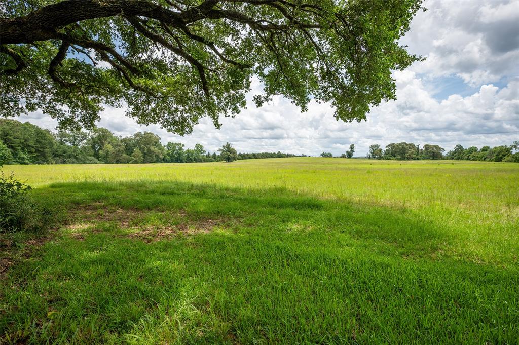 8176 Farm to Market 256 E