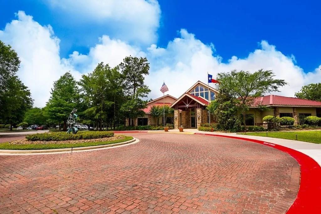 26 S Dylanshire Circle, Conroe, Texas image 32