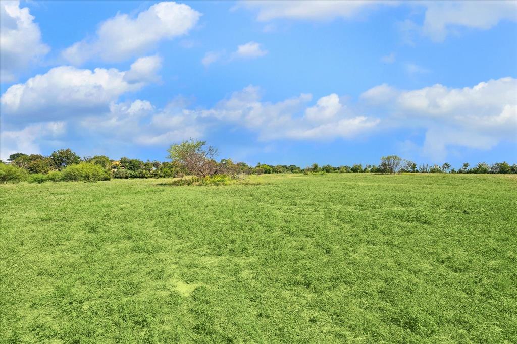 000 Off Mustang Road, Brenham, Texas image 3