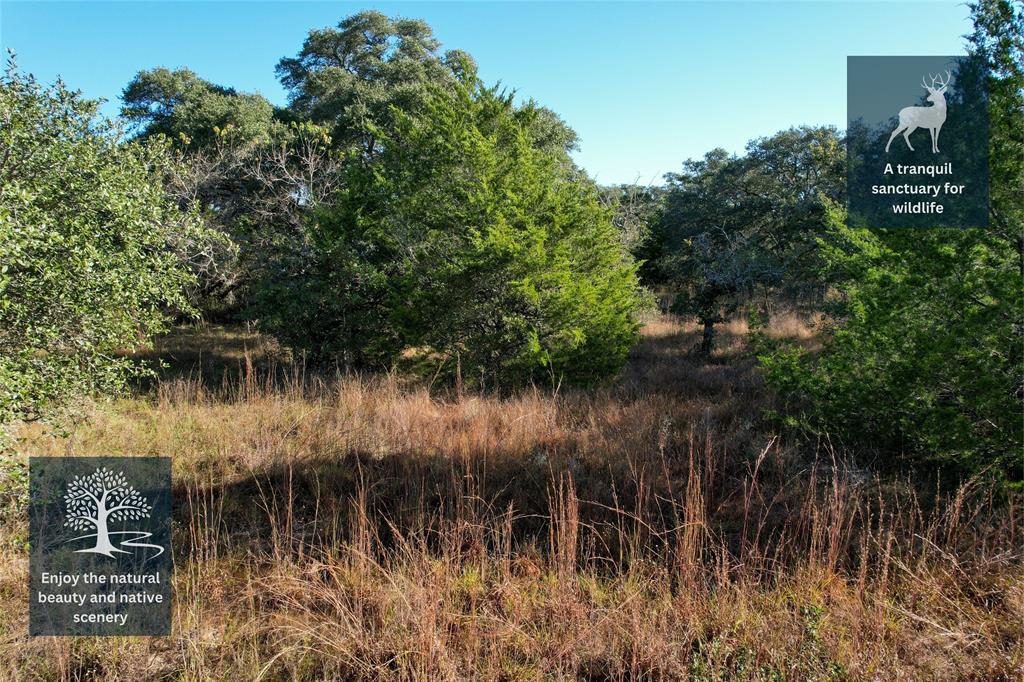 555 Private Road 1048, Hallettsville, Texas image 5