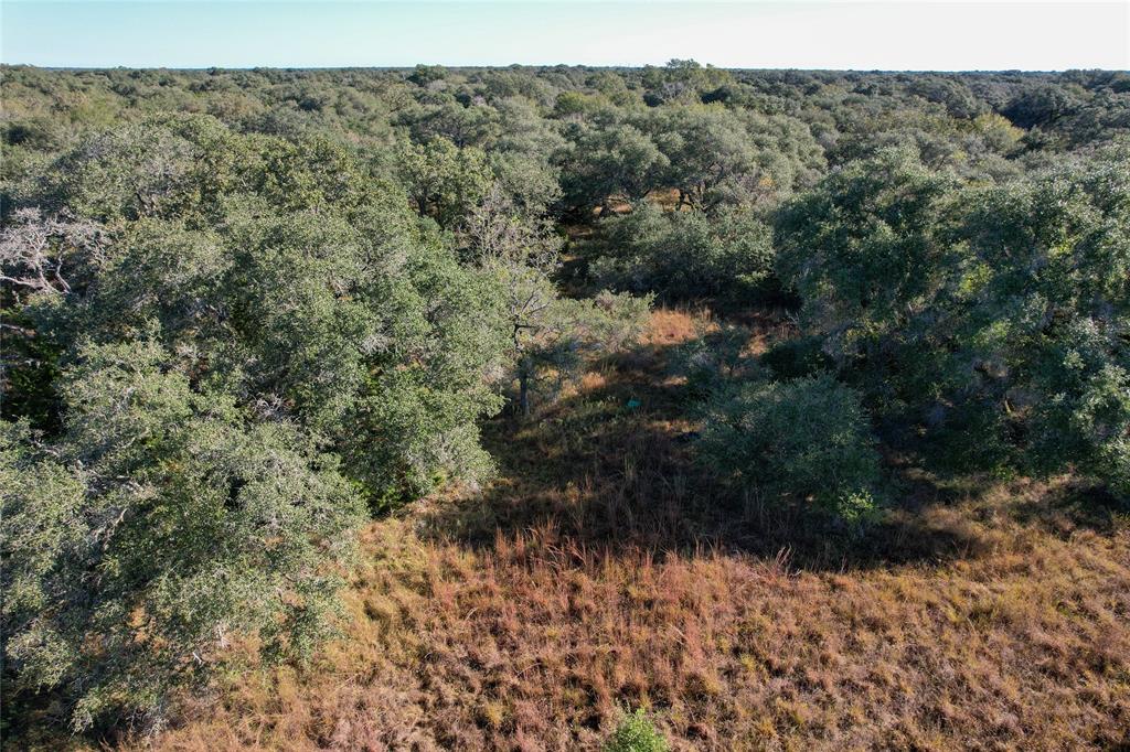 555 Private Road 1048, Hallettsville, Texas image 16