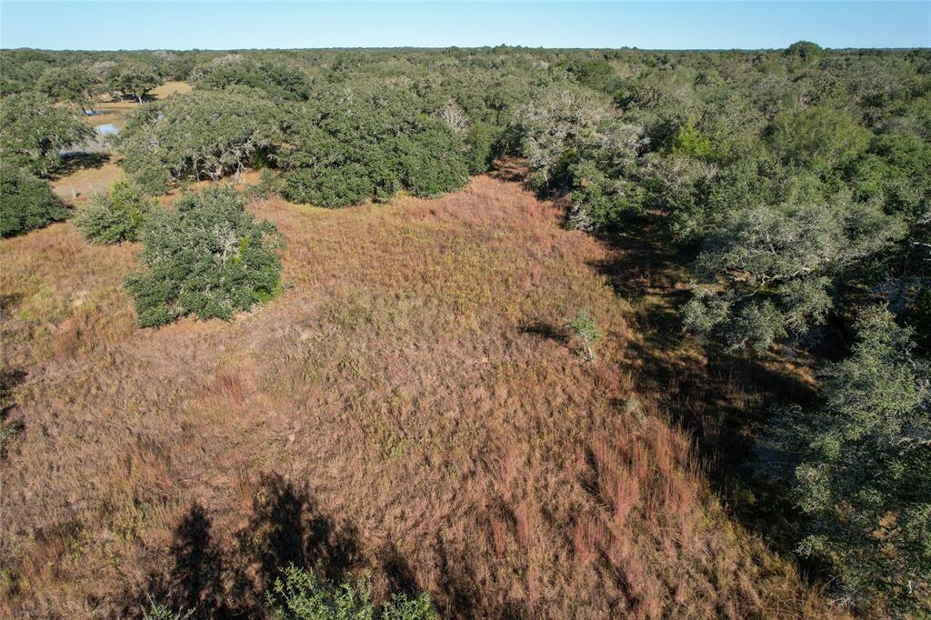 555 Private Road 1048, Hallettsville, Texas image 15