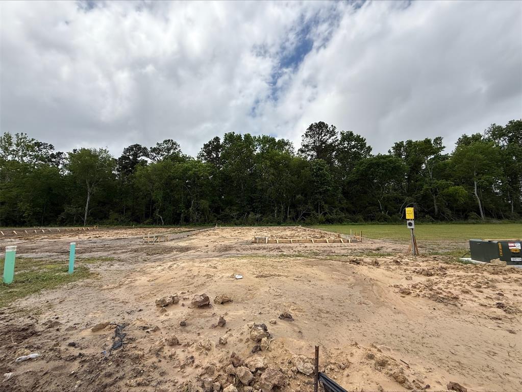 746 Westpointe Drive, Dayton, Texas image 8