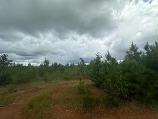 Lot 35 Soda Loop, Livingston, Texas image 7