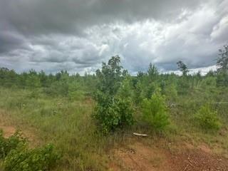 Lot 35 Soda Loop, Livingston, Texas image 12