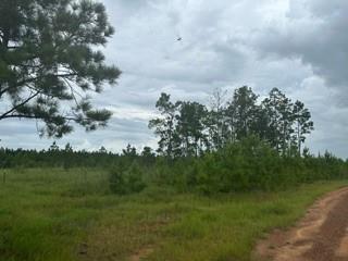 Lot 35 Soda Loop, Livingston, Texas image 8