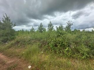 Lot 35 Soda Loop, Livingston, Texas image 19