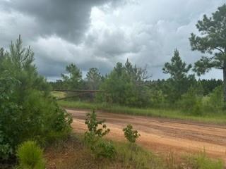 Lot 35 Soda Loop, Livingston, Texas image 10