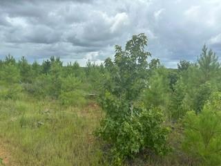 Lot 35 Soda Loop, Livingston, Texas image 13