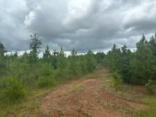 Lot 35 Soda Loop, Livingston, Texas image 14