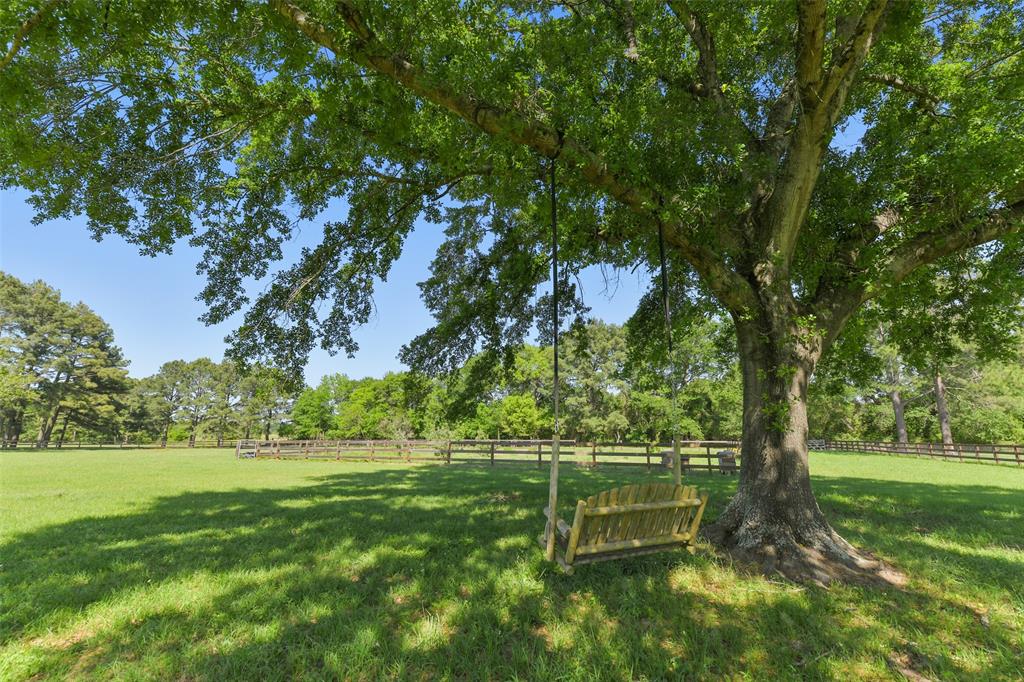 18203 Kitzman Road Road, Cypress, Texas image 44