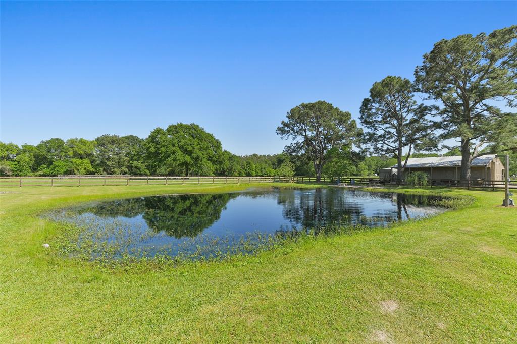 18203 Kitzman Road Road, Cypress, Texas image 45