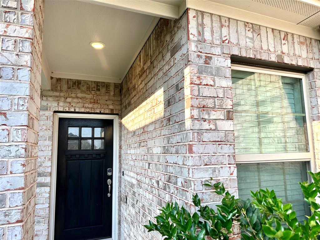 31330 Spotted Saddle Hollow