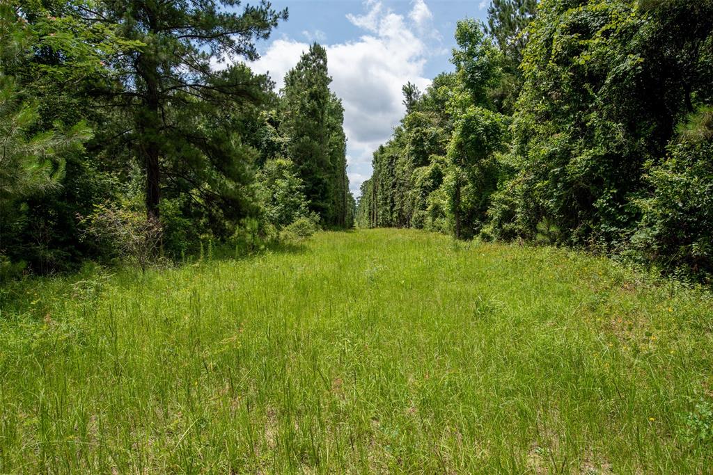 00 Co Rd 2150, Woodville, Texas image 11