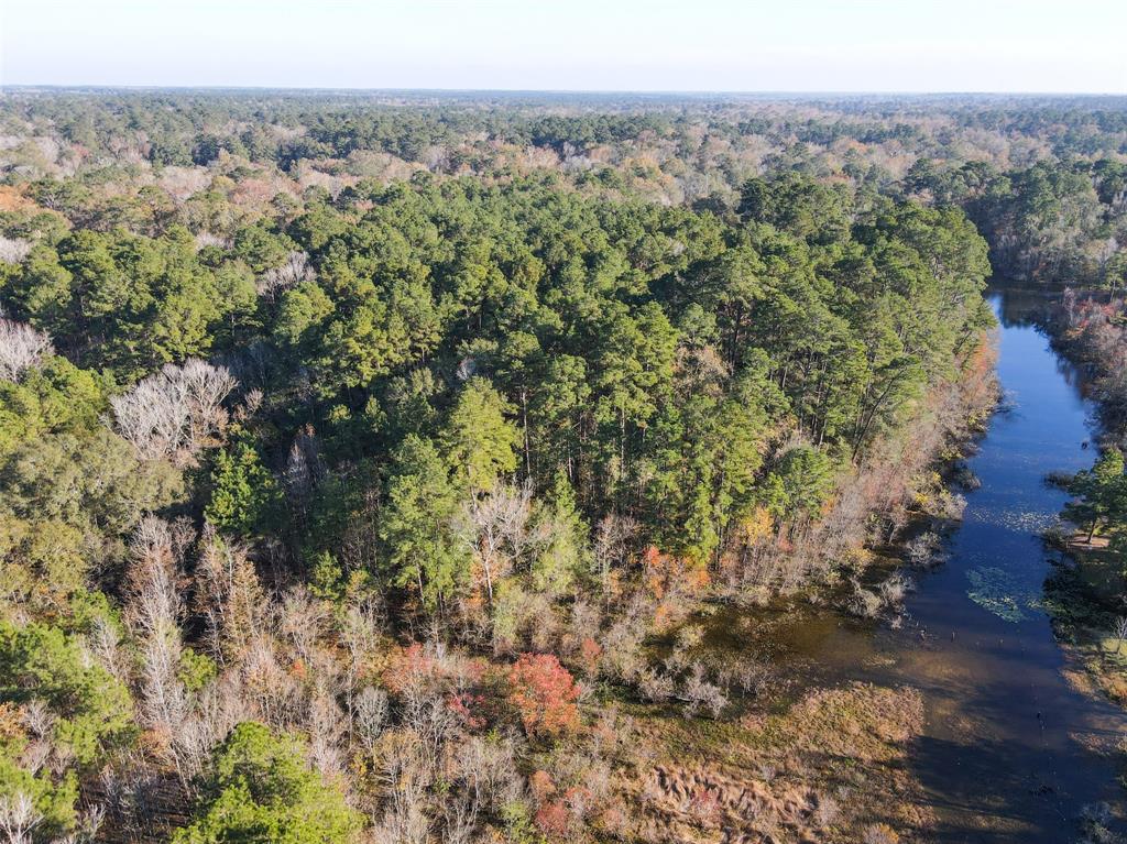 Tbd Greenfield Drive, Montgomery, Texas image 9