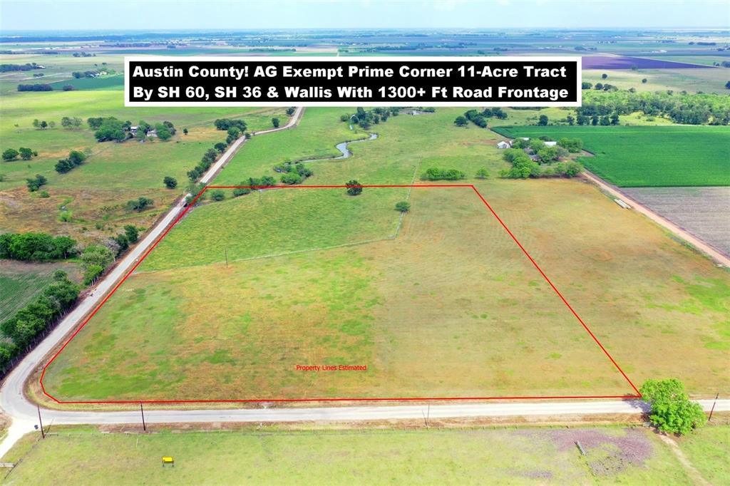 11593 Svoboda Road, Wallis, Texas image 6