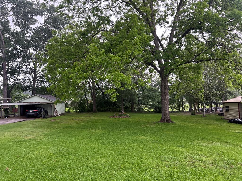 TBD Cove Loop, Coldspring, Texas image 4
