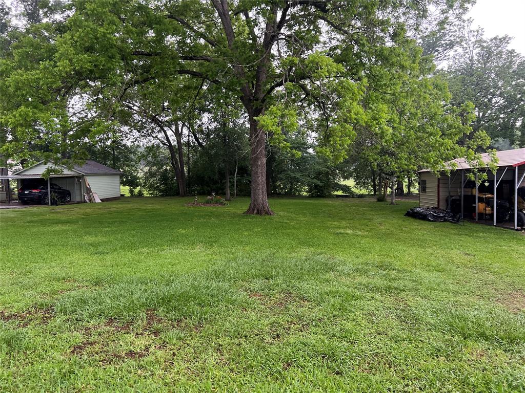 TBD Cove Loop, Coldspring, Texas image 6