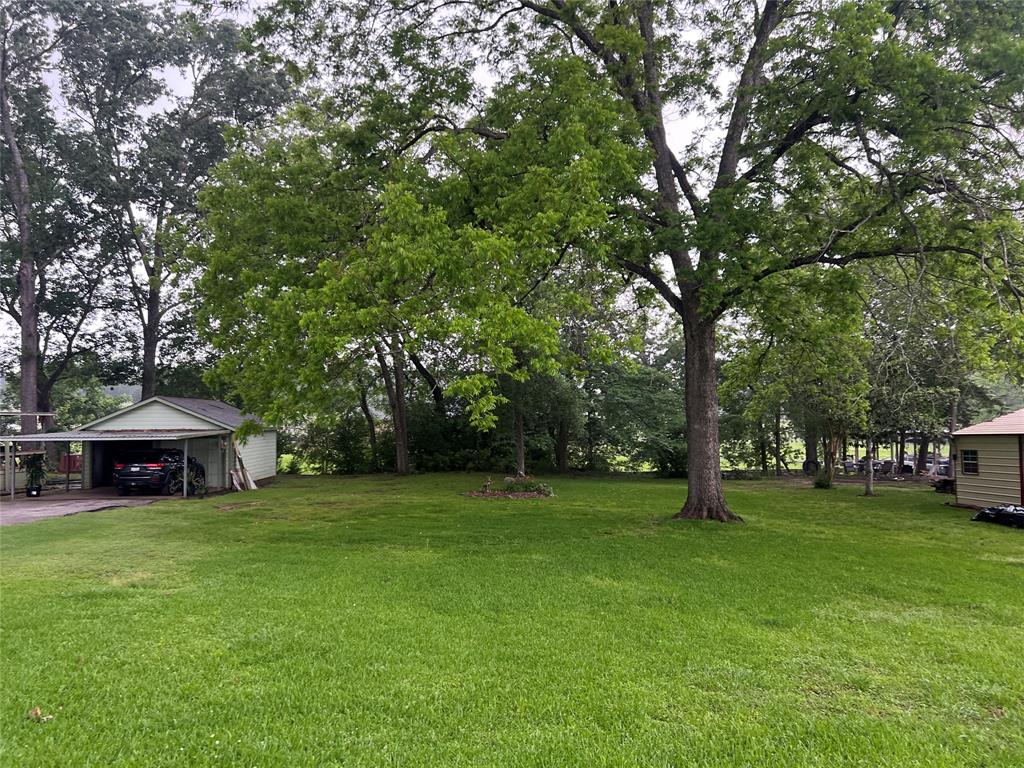 TBD Cove Loop, Coldspring, Texas image 3