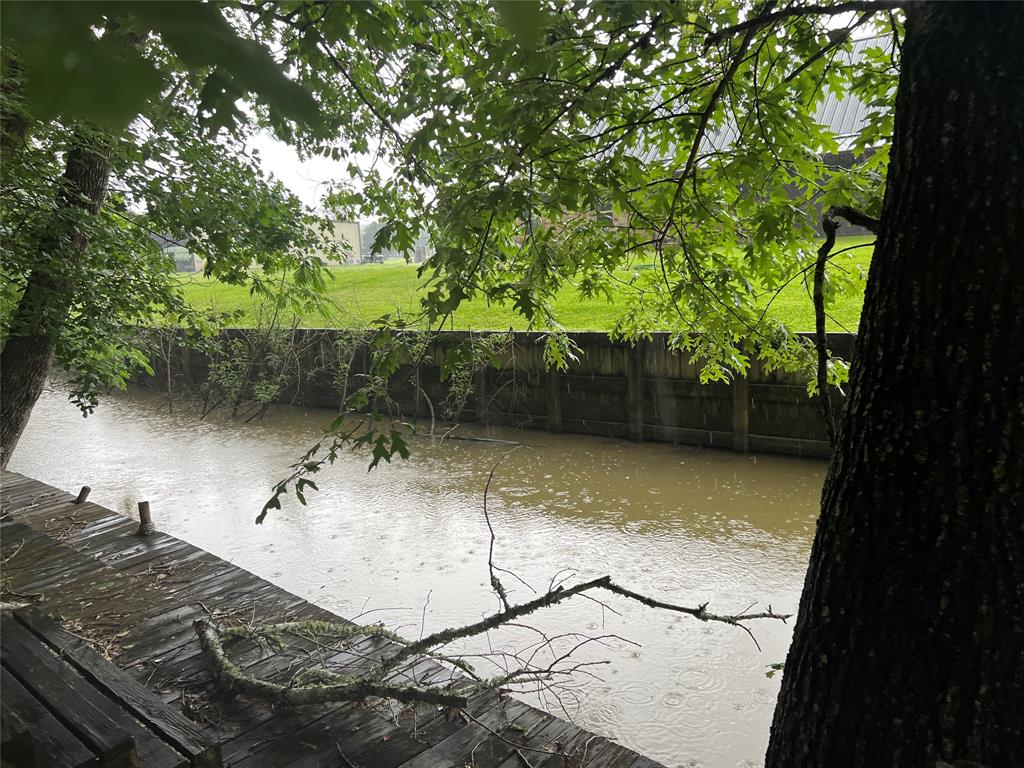 TBD Cove Loop, Coldspring, Texas image 11