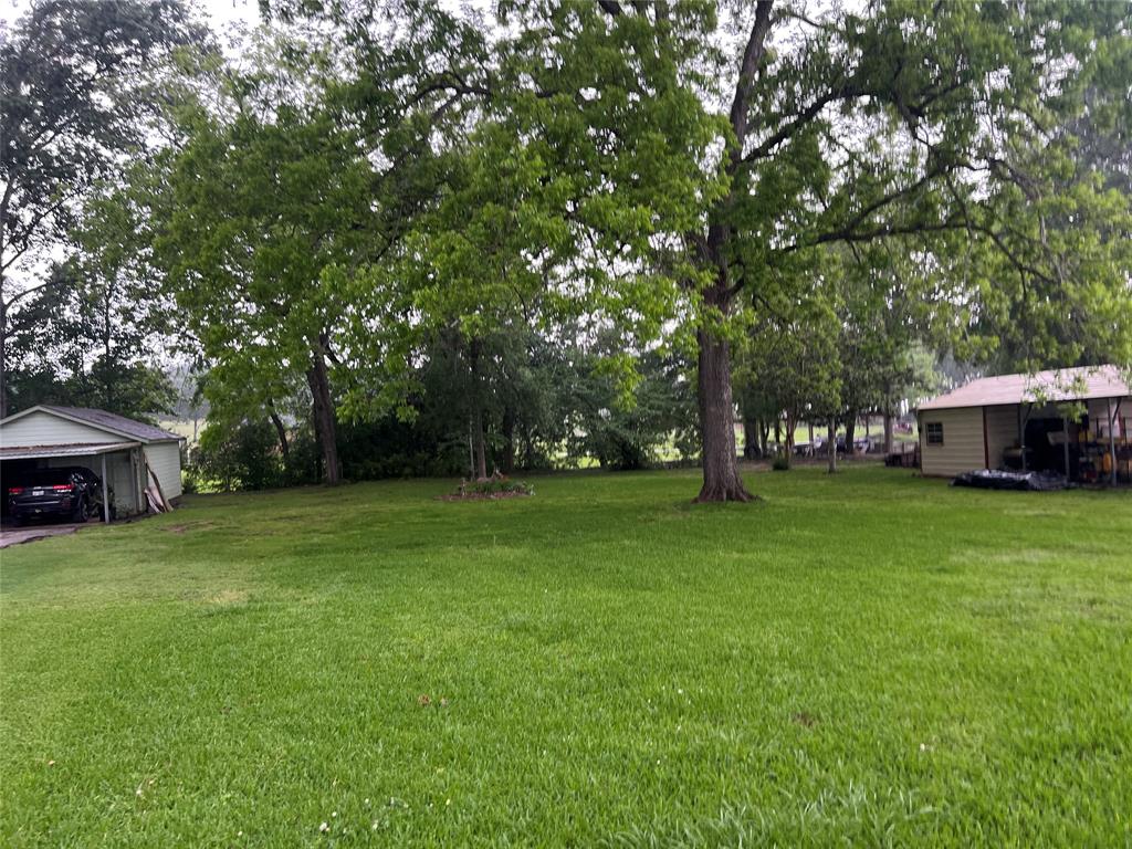 TBD Cove Loop, Coldspring, Texas image 5