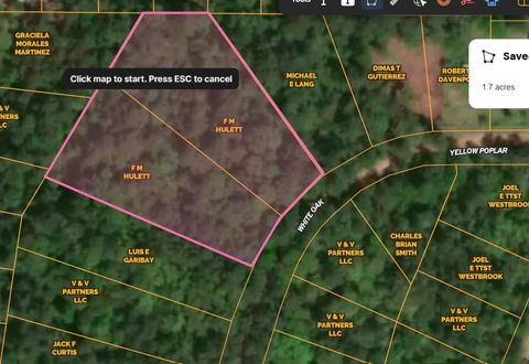 Photo of TBD White Oak Drive Drive, Plantersville, TX 77363 (MLS # 61380704)