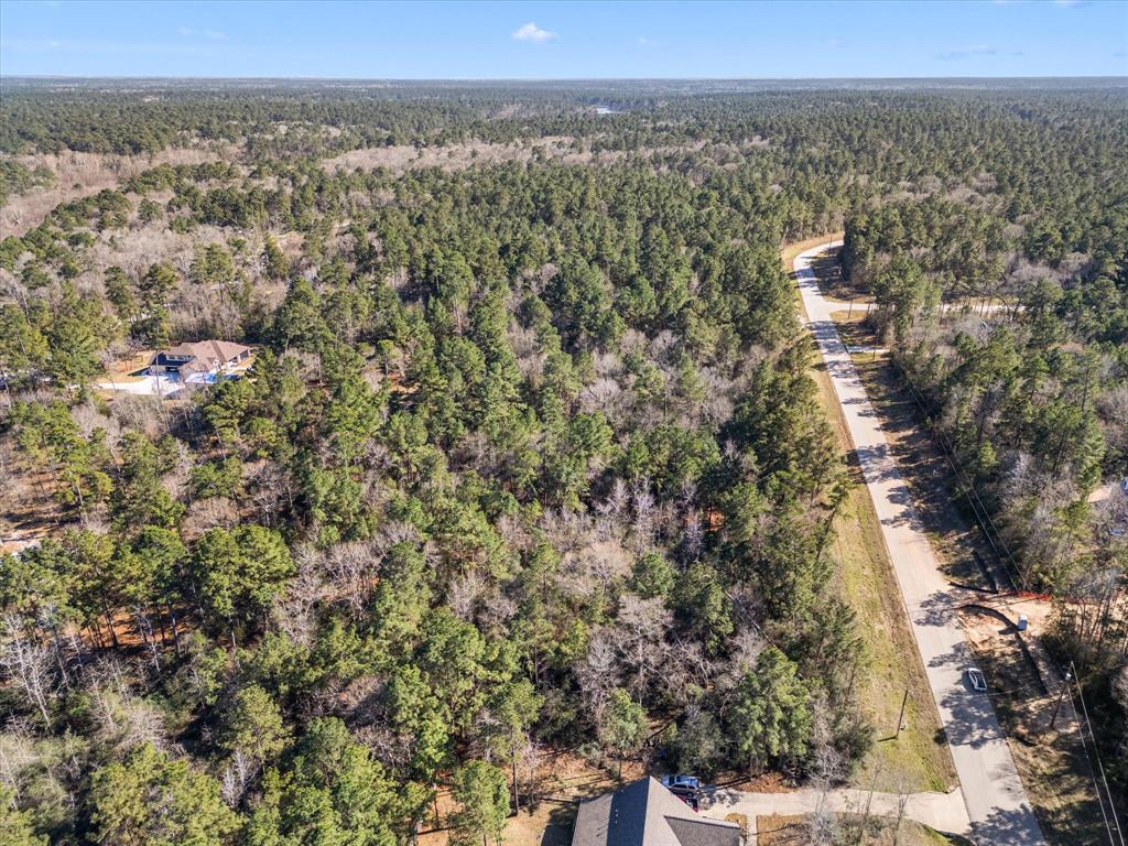 7-25-58 Handler Road, Huntsville, Texas image 6