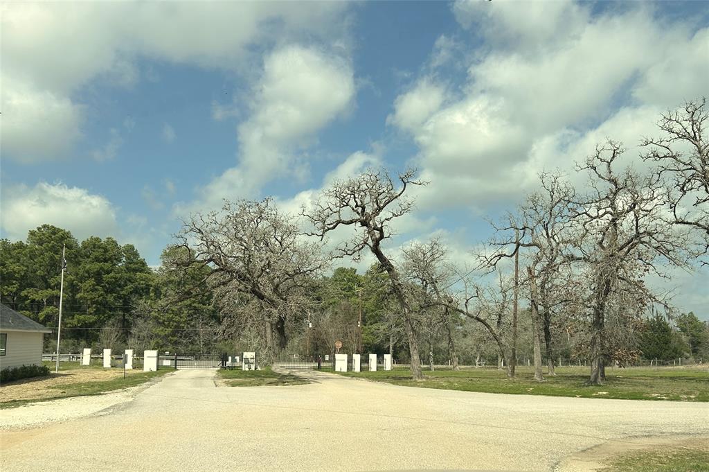 TBD Parkview Drive, Hempstead, Texas image 3