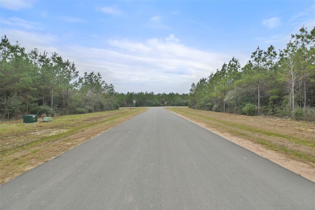 12606 Oak Barrel Road, Willis, Texas image 10