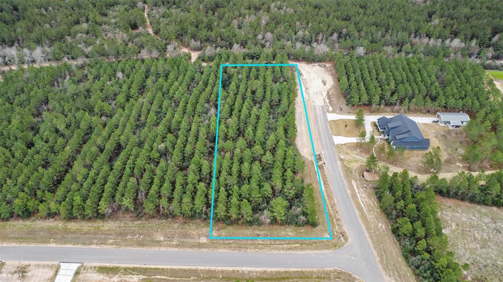 12606 Oak Barrel Road, Willis, Texas image 2