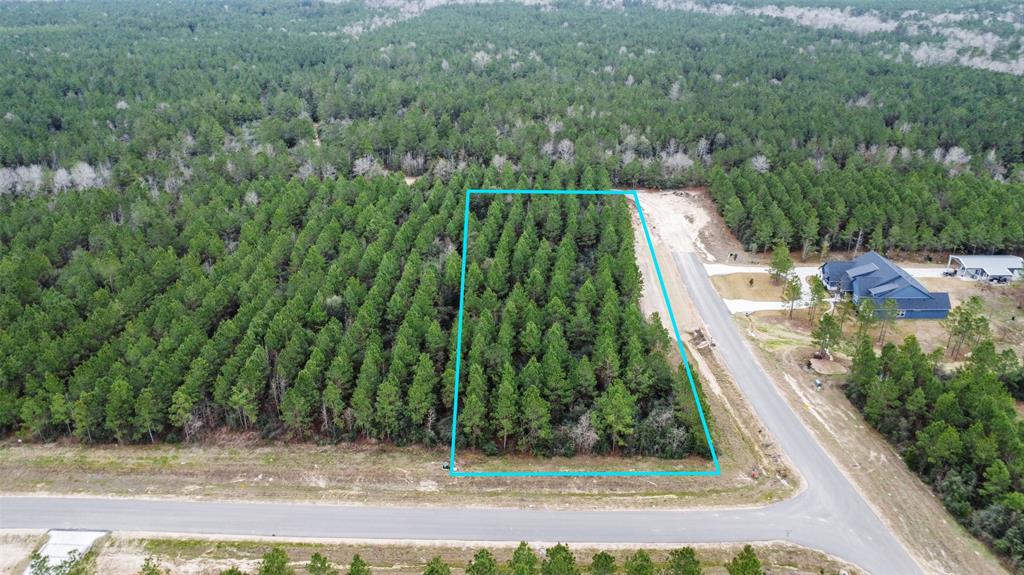 12606 Oak Barrel Road, Willis, Texas image 1