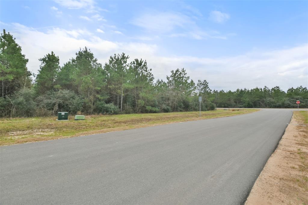 12606 Oak Barrel Road, Willis, Texas image 9