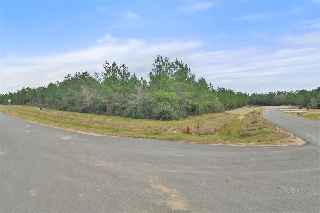 12606 Oak Barrel Road, Willis, Texas image 8