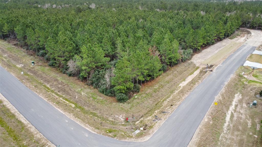12606 Oak Barrel Road, Willis, Texas image 4