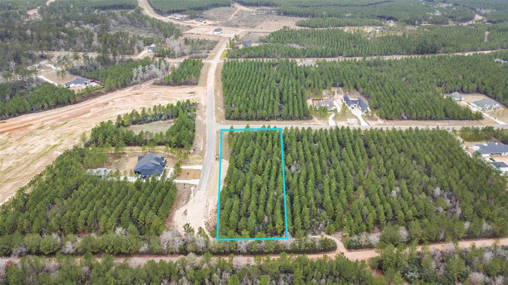 12606 Oak Barrel Road, Willis, Texas image 3