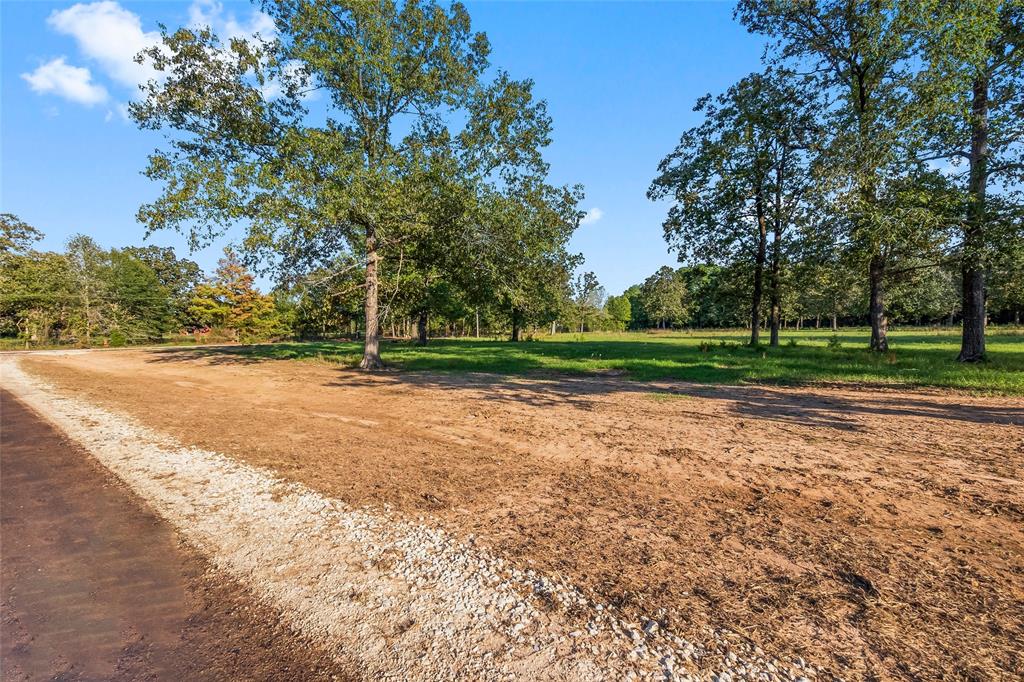 6160 Alans Memorial Lane, New Waverly, Texas image 3